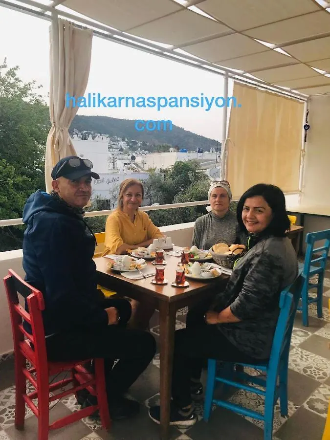 Halikarnas Pansiyon Bodrum 3*,