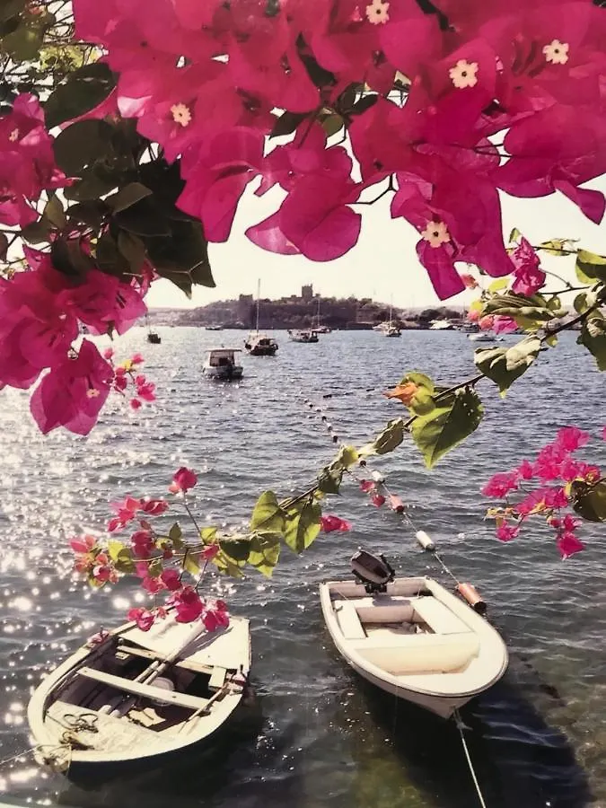 Halikarnas Pansiyon Bodrum 3*,  Turkey